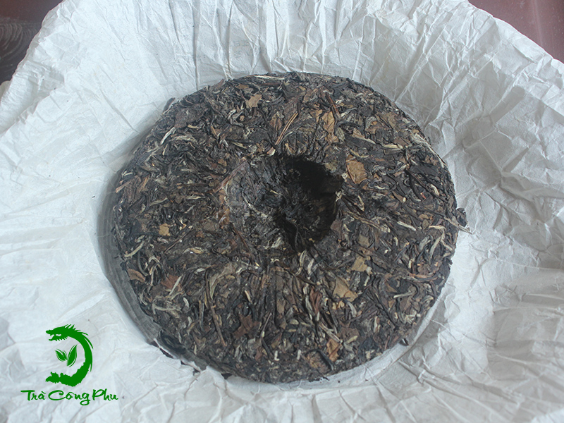 Bạch Trà Bánh BT01