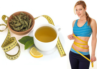 trà ô long giúp giảm cân an toàn 