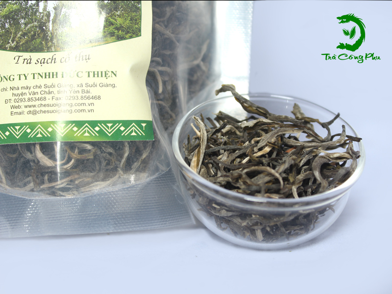 cánh trà cổ thụ shan tuyết suối giàng